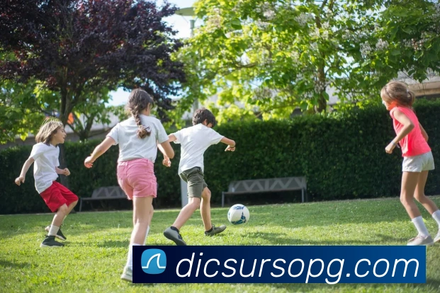 pg官网服务体系