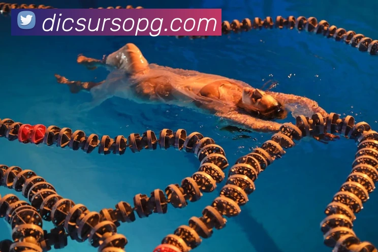 pg官网APP 体育赛事宣传图